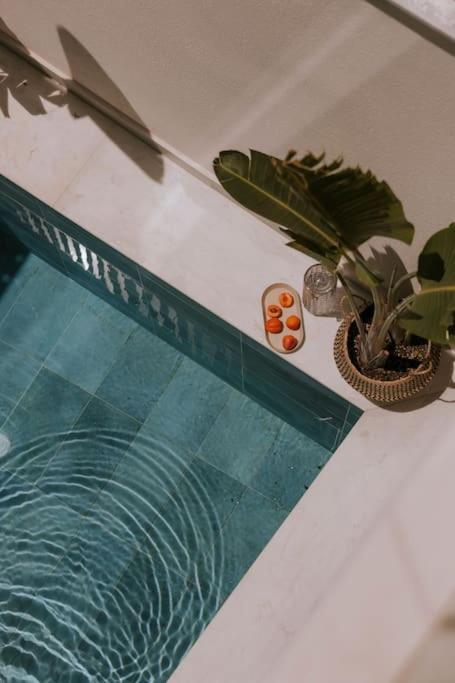 Sorores Seaside Living,by Idealstay Experience Willa